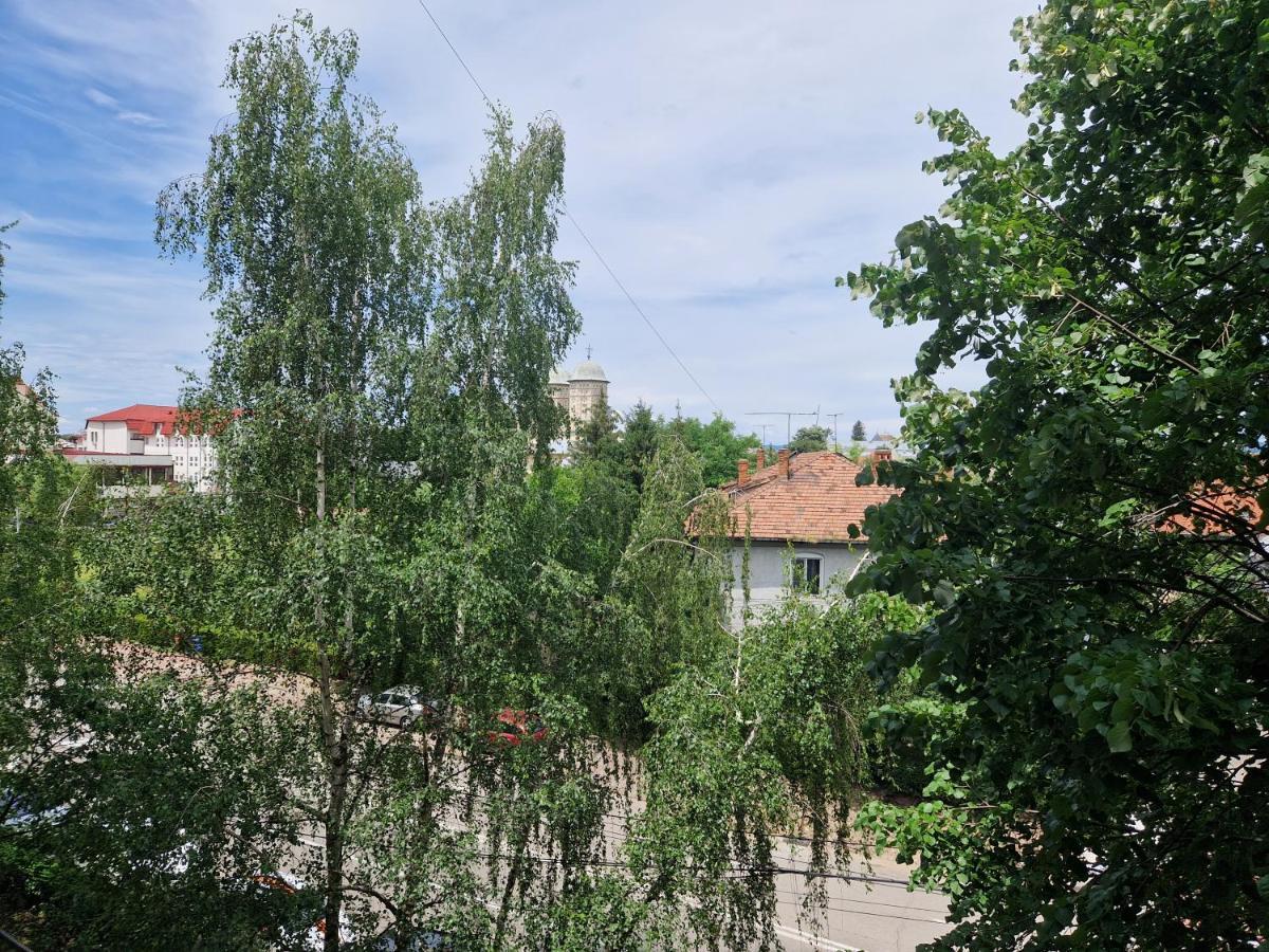 Cozy Appartment In The Center Търговище Екстериор снимка